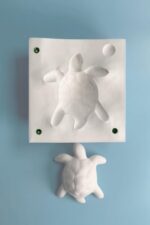 Refsan Kaplumbağa - Alçı Kalıp