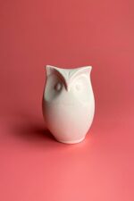 Refsan Puhu Baykuş Seramik Bisküvi